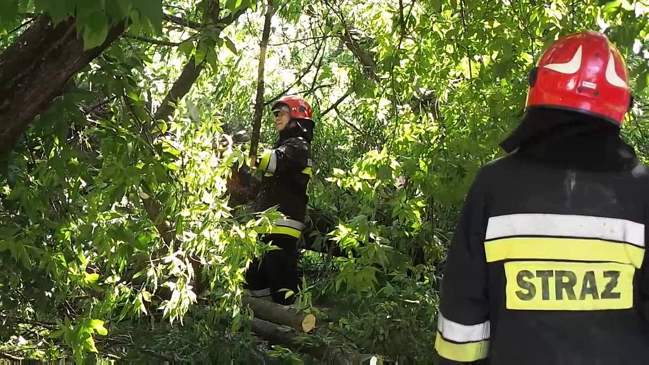 Strazacy usuwaja zlamane drzewo tarasujace ulice Bialostocka.