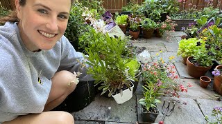 Planting A Cottage Garden Container Full Of Flowers | Container Gardening