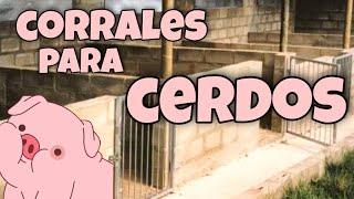 construye los MEJORES CORRALES para tus CERDOS 🤩👍