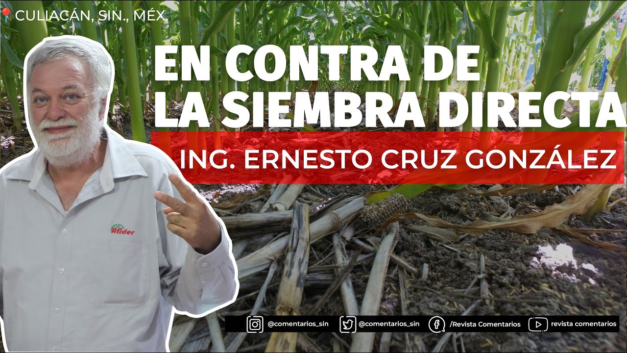 Opinión sobre la siembra directa | Ernesto Cruz González - YouTube