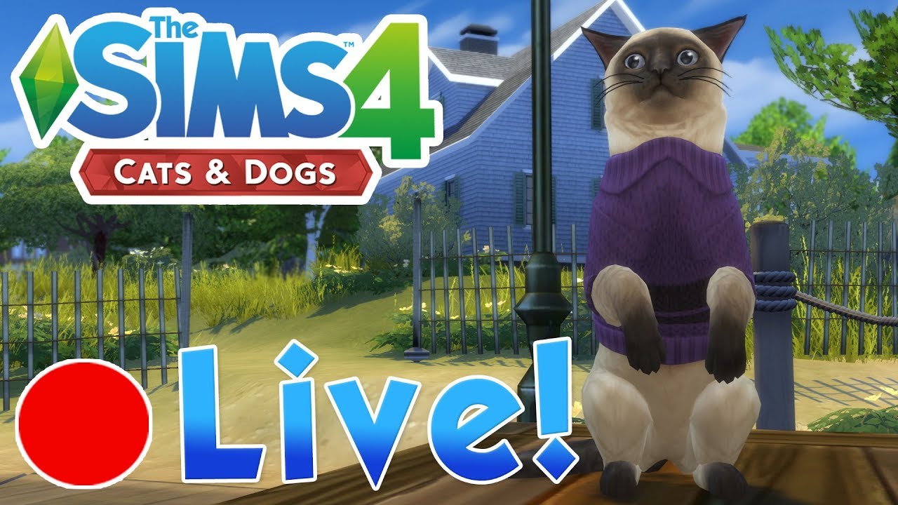 Sims 4 Cats And Dogs • Romancing Mayor Whiskers • Finished Stream