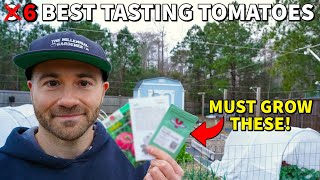The 3 Most Productive And BEST TASTING TOMATOES To Grow In Your Garden!