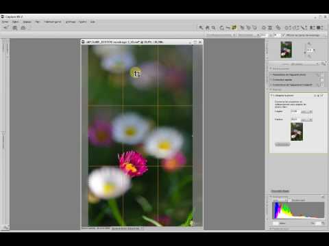 Capture NX2 - Variante pour un recadrage précis de l'image