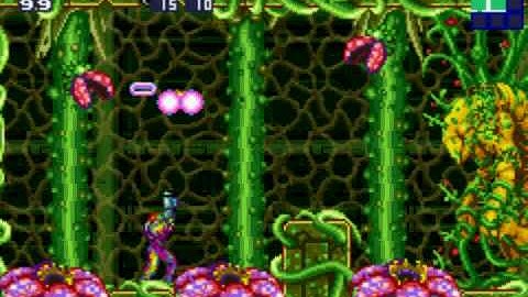 GBA Metroid Fusion Mother plant (1% run)