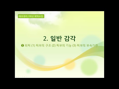 외피 피부의 구조 기능 부속기관