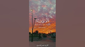 تلاوه مؤثره باكيه رتلها القارئ فيصل الهاجري بأعلى طبقات صوته
