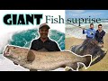 When the stars and the moon align! GIANT MULLOWAY SUPRISE!! // CRAZY DAY ON THE BEACH!