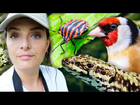 Mes secrets pour observer la biodiversité