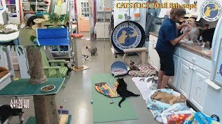 Stan's 20180802 Paddy Cakes care