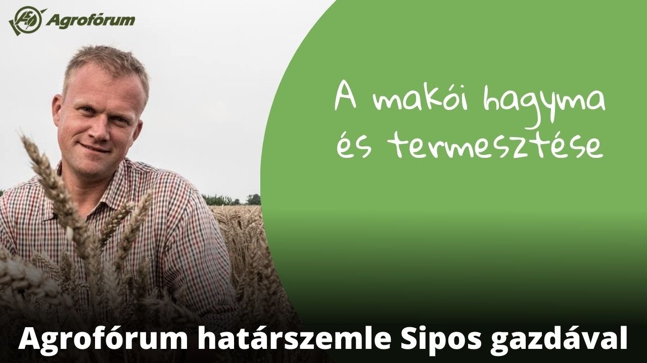 A makói hagyma és termesztése - Agrofórum határszemle Sipos Gazdával