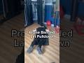Prone Banded Lat Pulldown - Exercise Demonstration