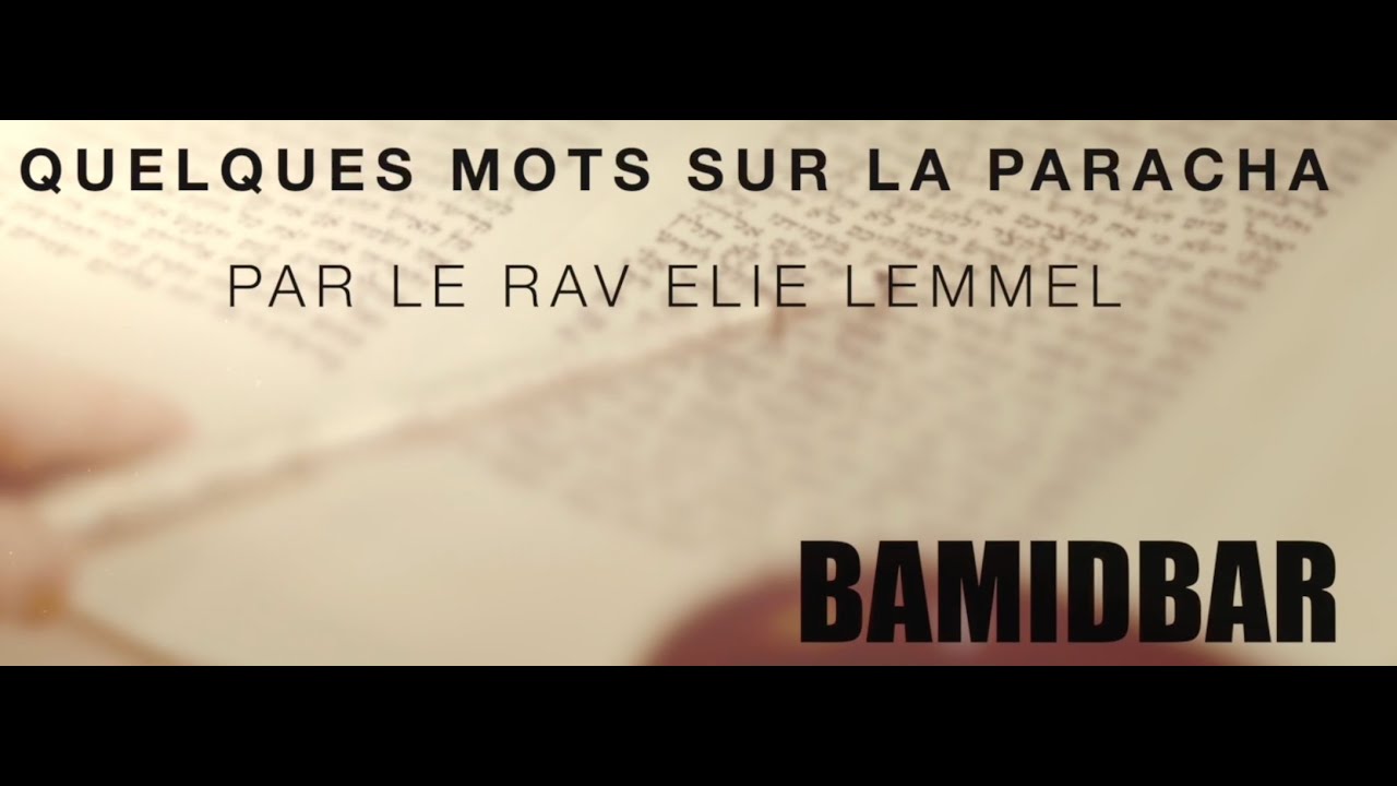 À chacun son drapeau... Rav Elie Lemmel - Paracha  Bamidbar
