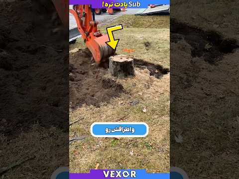 نوین ترین روش کندن درخت خشک شده در آمریکا حرفه ای اما غلط 