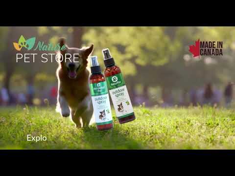 Explore the outdoors with your pets-naturally