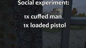 DayZ: Social Experiment