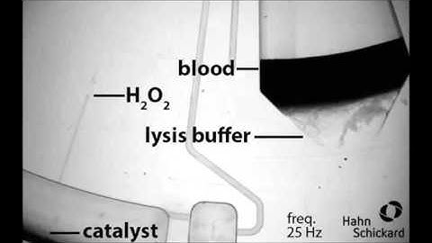 Rigorous buoyancy driven bubble mixing for centrifugal microfluidics