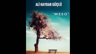 Ali Haydar Güçlü  -  MESO Resimi