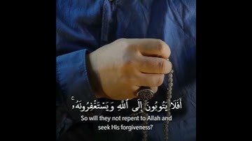 اروع تلاوة القران الكريم ب صوت القارئ وديع اليمني سورة المائدة آجمل حالات واتس اب قرآنيه