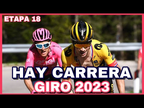 RESUMEN ETAPA 18