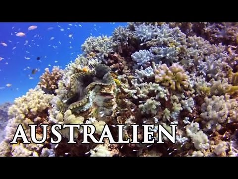 Video: Australien Bereisen: Vom Great Barrier Reef Nach Tasmanien