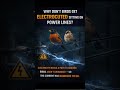 Why don't birds get electrocuted on power lines