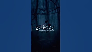 #القارئ إسلام صبحي وإذا سألك عبادي عني . تلاوة هادئة خاشعة ومؤثرة جدا أرح قلبك #تلاوات #اكسبلور
