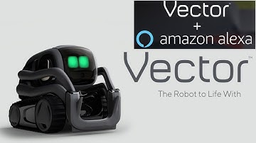 Now Artificial Intelligent VECTOR Robot  By Anki With Amazon Alexa Built in