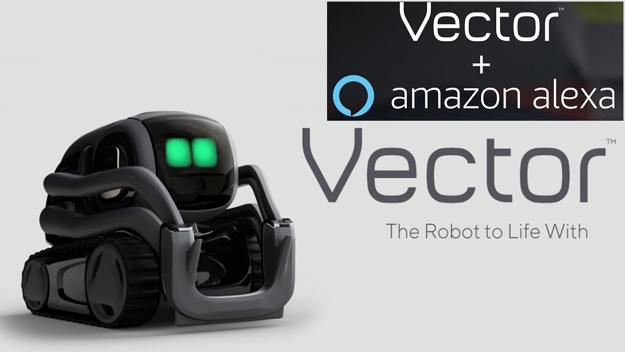 Vector Anki Robot Charming Intelligent with built alexa