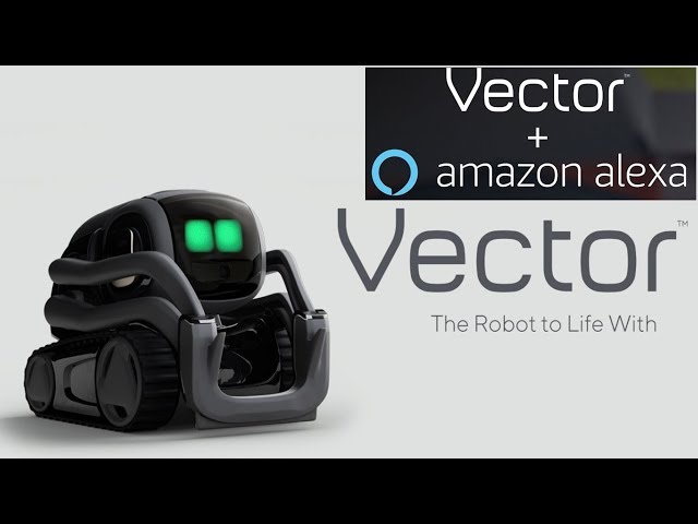 Anki Vector Robot  Interactive home robot with artificial intelligence and   Alexa inside