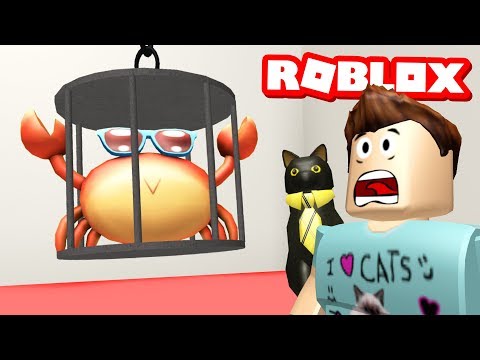 Escape The Car Wash Obby In Roblox Youtube - i don t drive roblox escape the car wash obby youtube