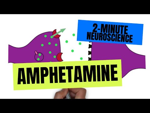 2-Minute Neuroscience: Amphetamine
