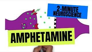 2-Minute Neuroscience: Amphetamine