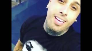 Nicky Jam- Dime [preview]