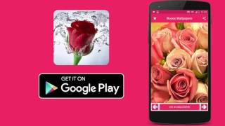 Rose Wallpaper HD - Android Application screenshot 3