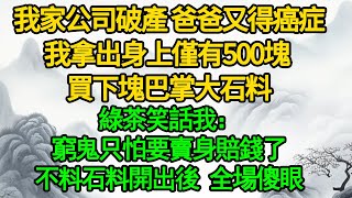 我家公司破產 爸爸又得癌症我拿出身上僅有500塊 買下塊巴掌大石料綠茶笑話我窮鬼只怕要賣身賠錢了不料石料開出後 全場傻眼