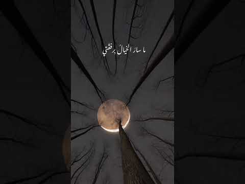 ياسر محمد الناصر شعر اكسبلور النسر شعراء قصايد حالات واتس تصميمي لايك قصيده النصر