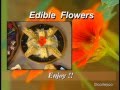 Edible Candied Pansies, Herbal Butter, Floral Confetti - Edible Flower Recipes