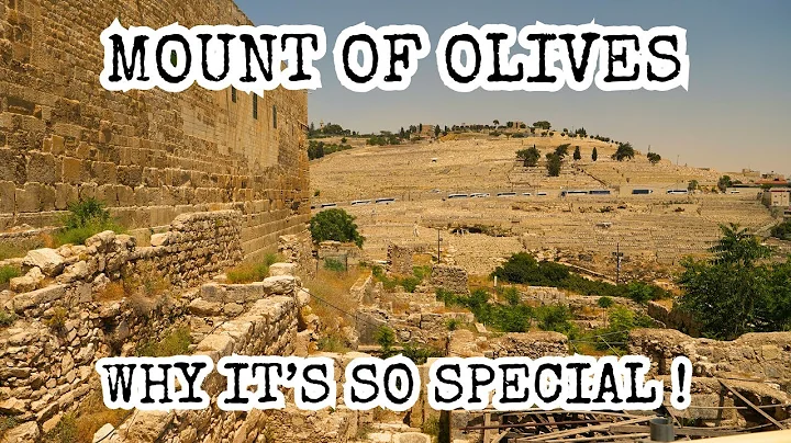 Mt. of Olives Overview Tour: Chapel of Ascension, ...