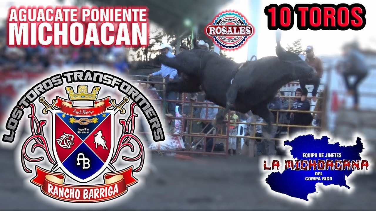¡¡¡ESTA DE REGRESO ESTE TORAZO EL ALMA NEGRA!!! RANCHO BARRIGA EN EL AGUACATE PONIENTE.MICH. rancho viejo