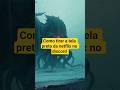 Como tirar a tela preta do Netflix no Discord (rápido)