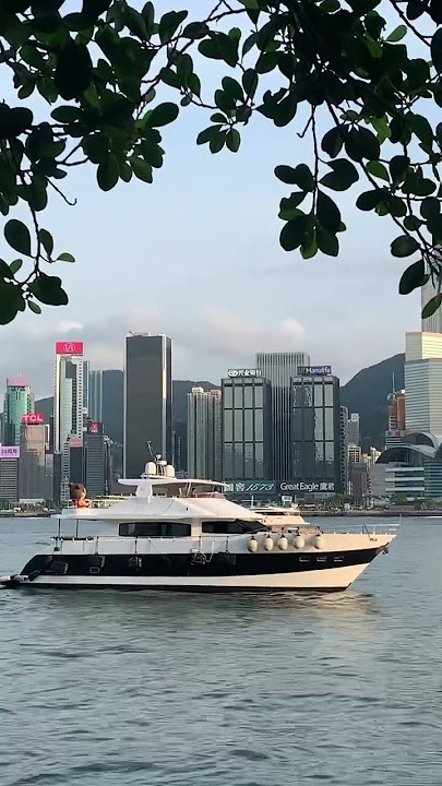 Harbour #hkvlog #beautifulhk #shortvideos #