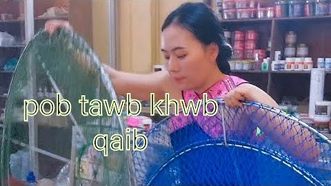 pob tawb khwb qaib