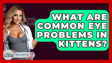 What Are Common Eye Problems In Kittens? - Ask A Pet Vet