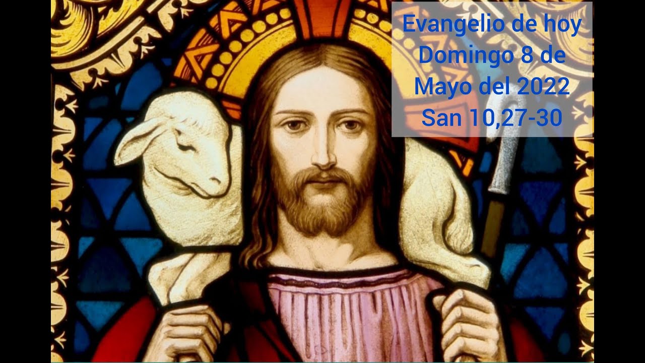 Lecturas y Reflexión del Evangelio de hoy domingo 8 de mayo del 2022