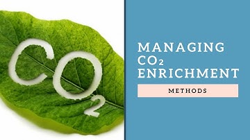 WATCH THIS - Managing CO₂ Enrichment in Your Indoor Garden!!