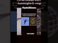 A bird flaps its wings.A dead star bends reality 716 times every second|SPEED COMPARISON #shorts