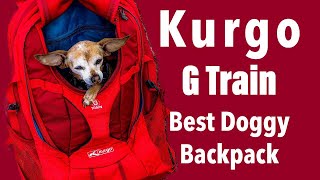 Best Hiking Backpack for Pet Lovers on the Market  KURGO G TRAIN DOG CARRIER BACKPACK
