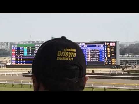 東京12レース 大島特別 本馬場入場