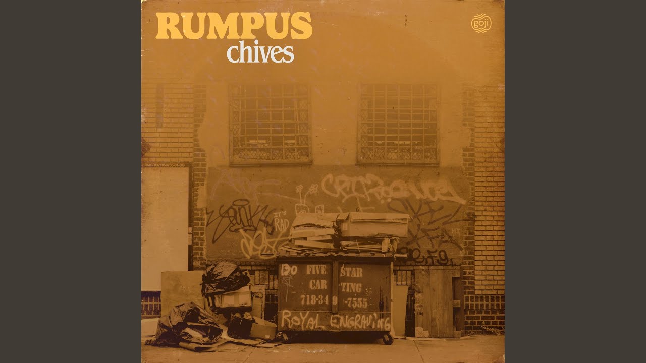 Watch Rumpus on YouTube Watch Rumpus on YouTube
