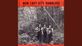 Video thumbnail of "The New Lost City Ramblers - Ain't No Bugs on Me"